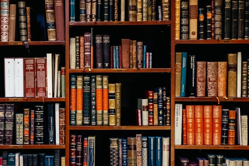 School Library & Reading Room